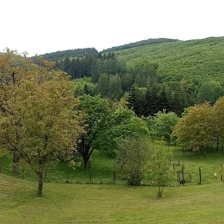 Budafai Hébergement de vacances