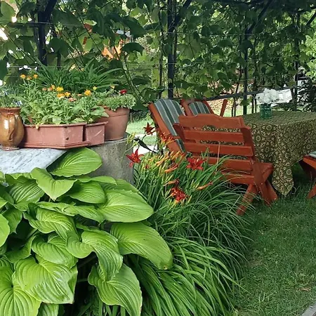 Casa vacanze Budafai Kiscsehi