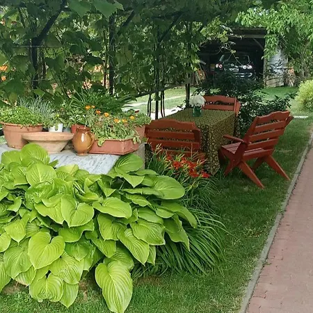 Budafai Casa vacanze