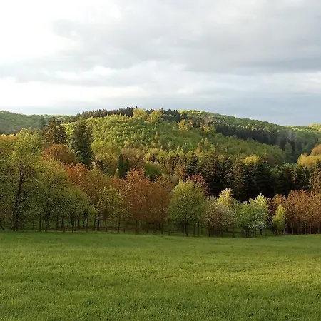 Nyaraló Budafai *